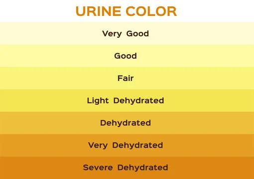 Urine-Color-Chart - Salinas PT